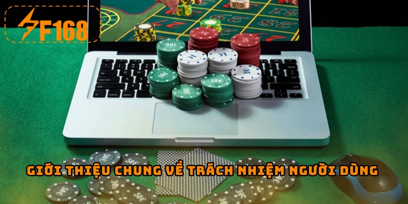 Giới thiệu chung về trách nhiệm người dùng
